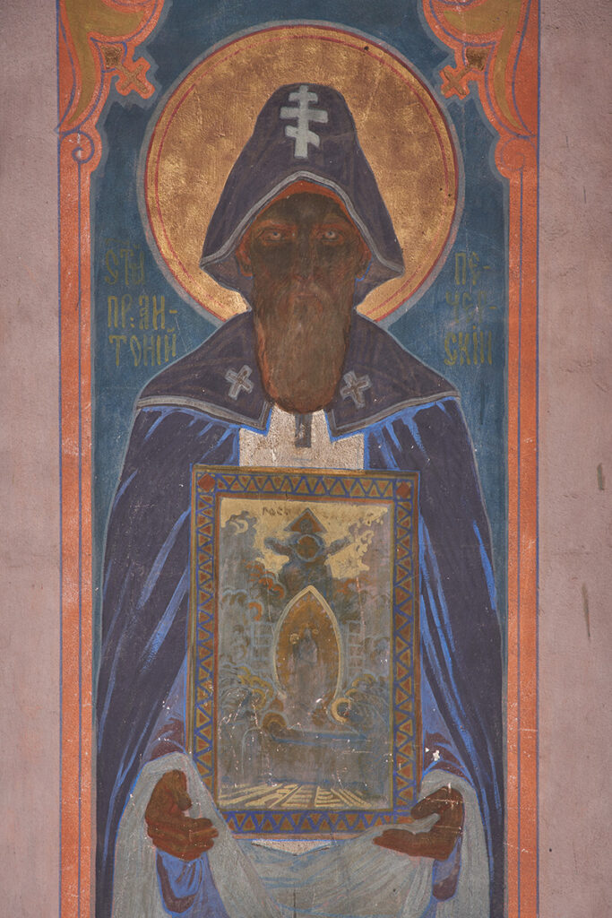 pidberiztsi-DSC5155